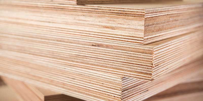 Maple Plywood</p>
<p>